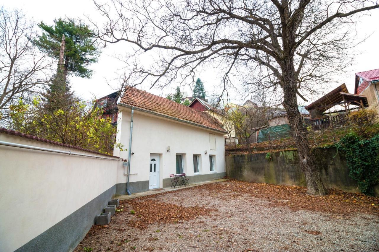 Crisan Residence - Vila Crisan Braşov Eksteriør billede